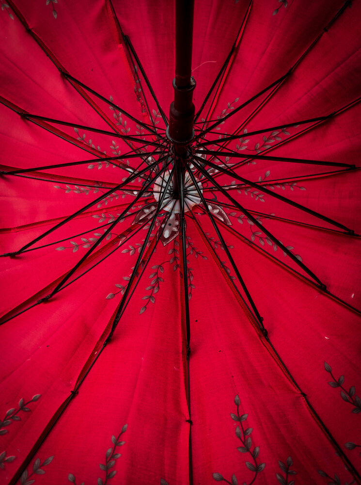 RED SHELTER