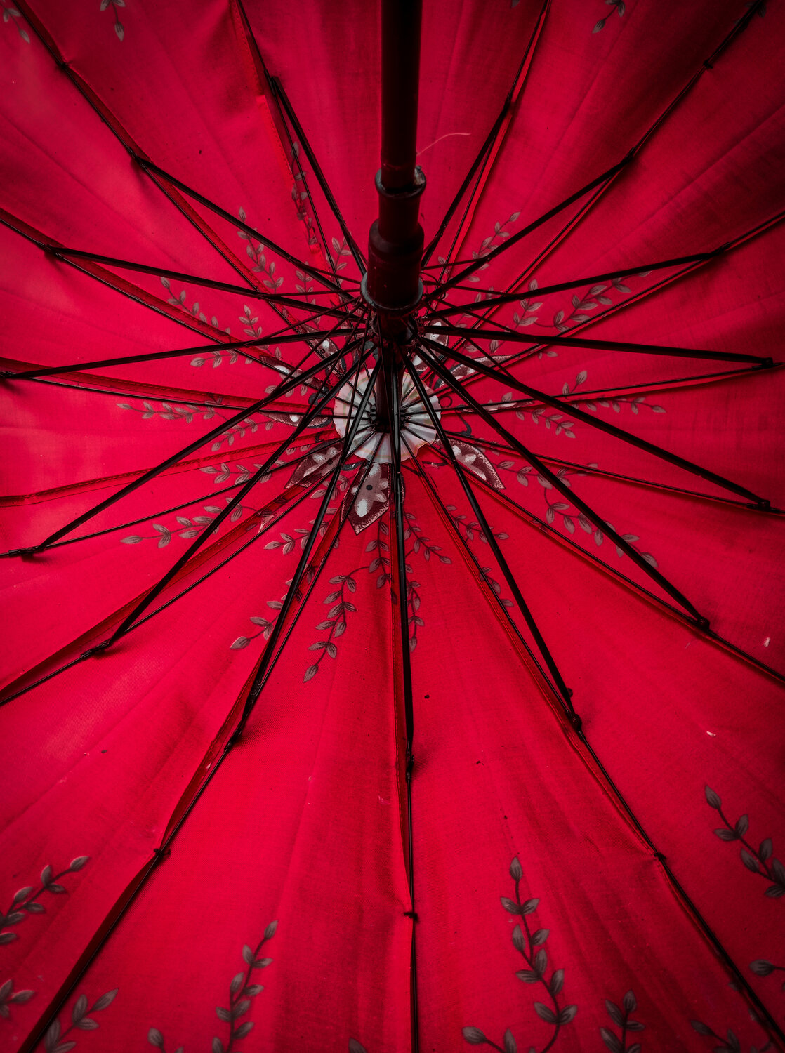 RED SHELTER