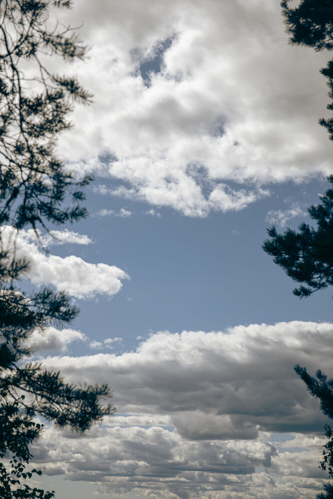 Photograph by Харитонова Ирина