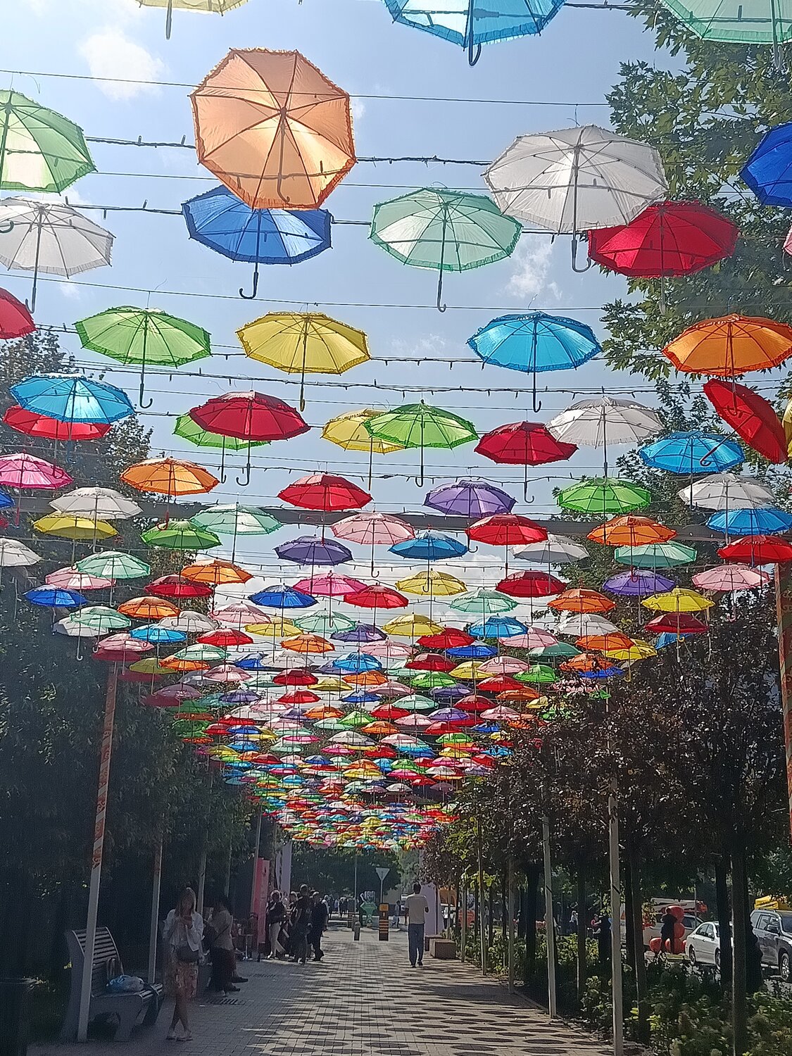 Фотография #14169814