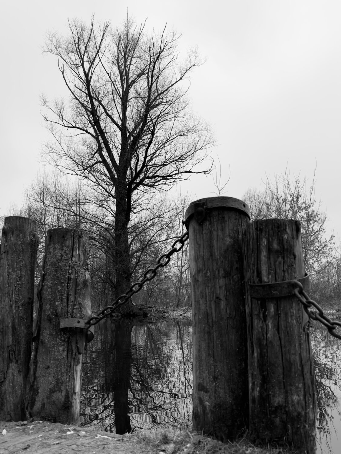Photo #14169877