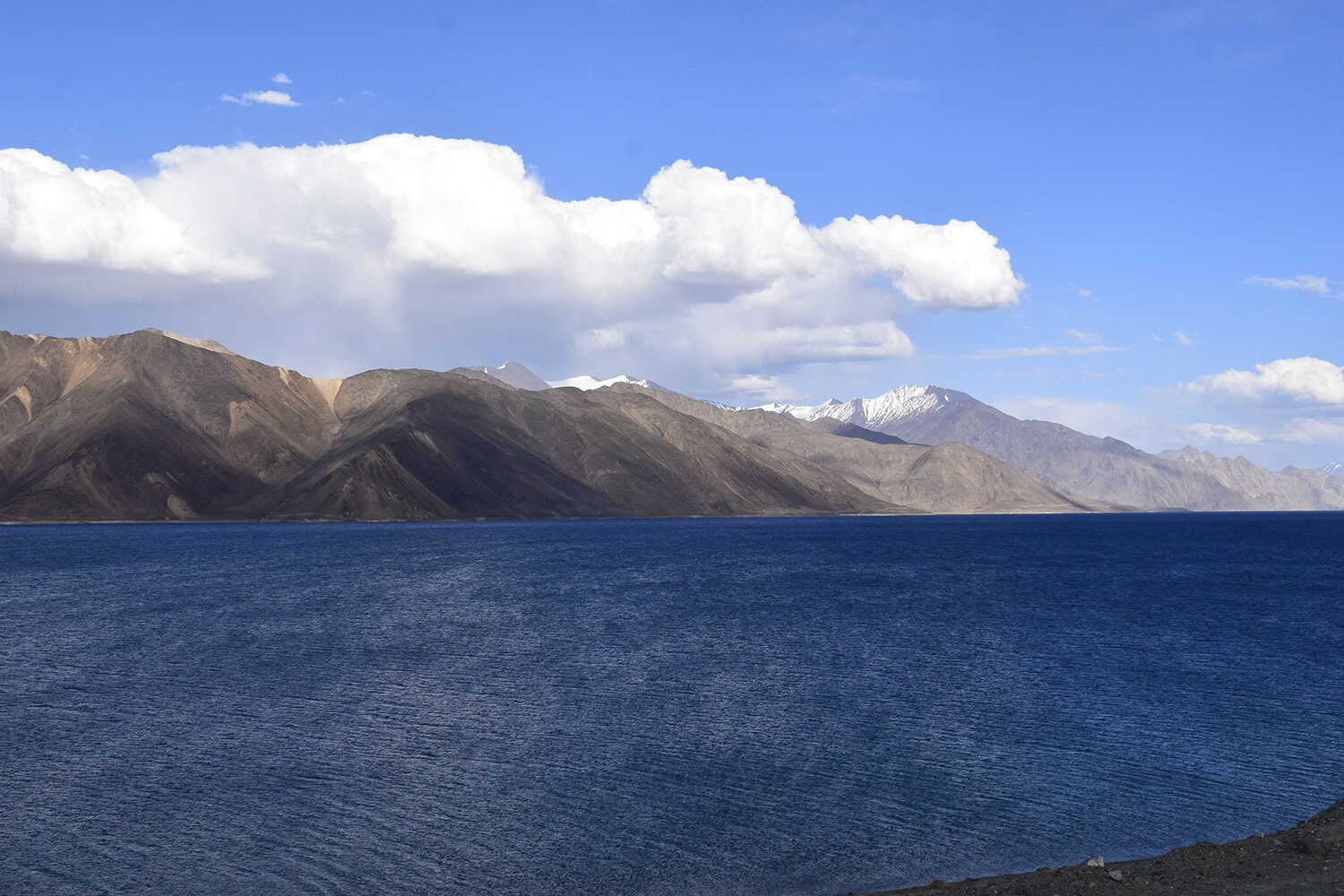 Photo #14169889