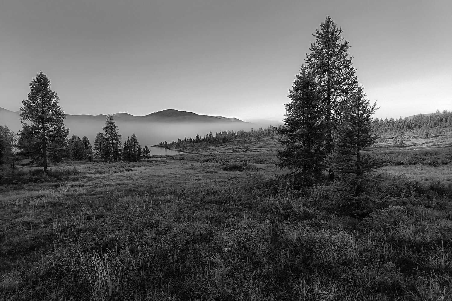Photo #14170287