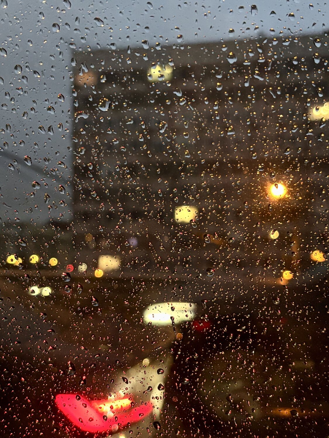 Photo #14170505