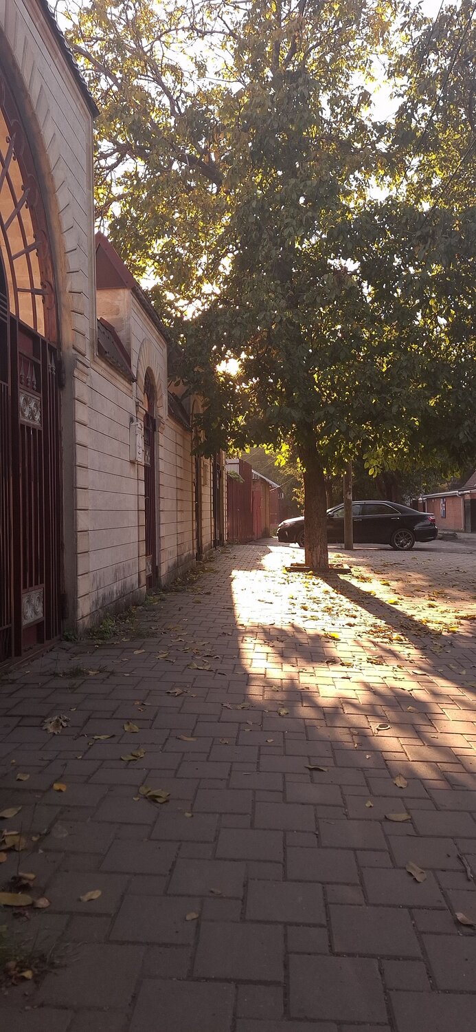 Photo #14170534