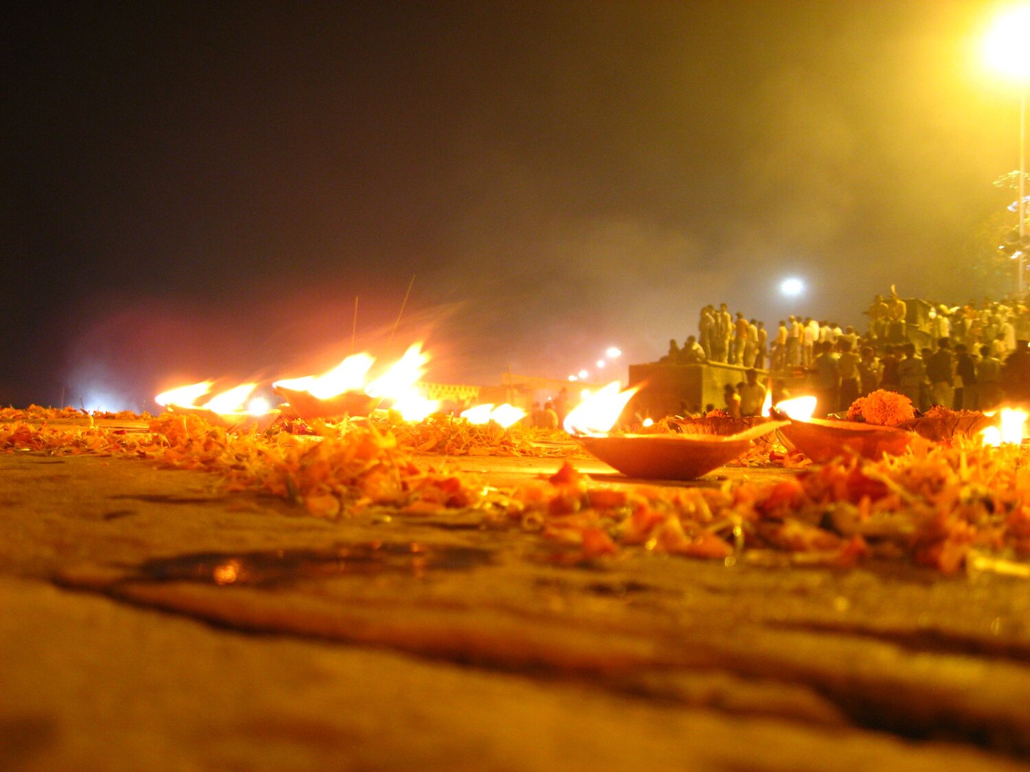 Photo #14170598
