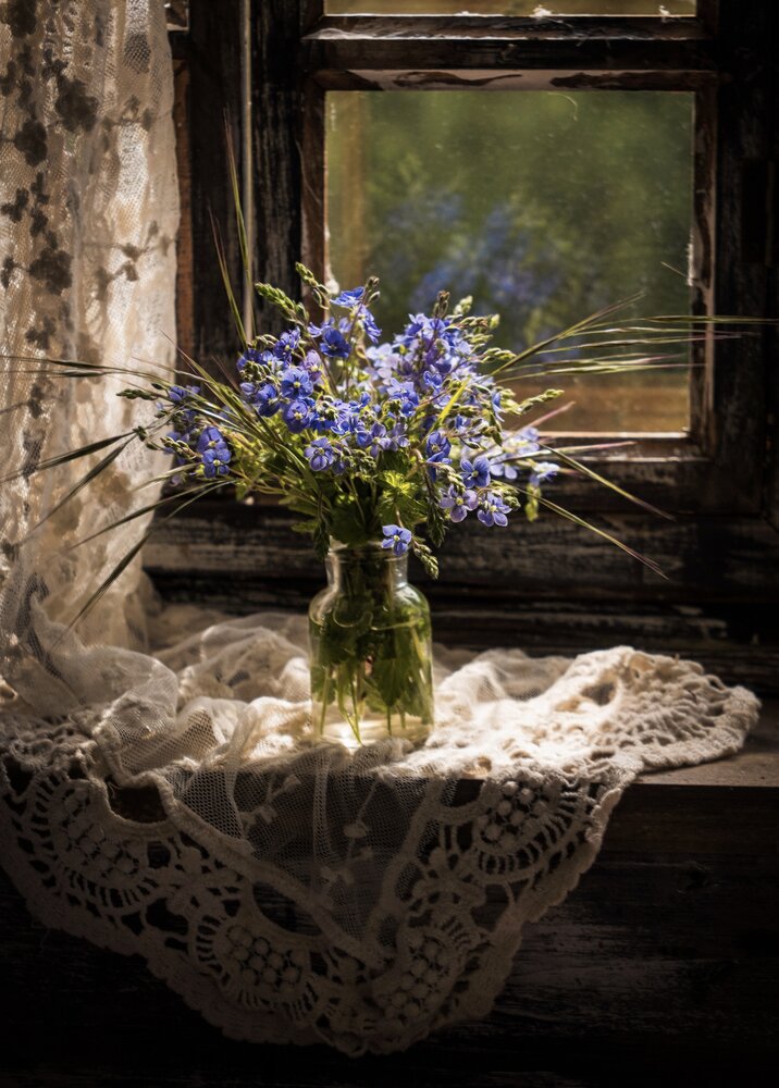 Photograph by Olga Schmidt