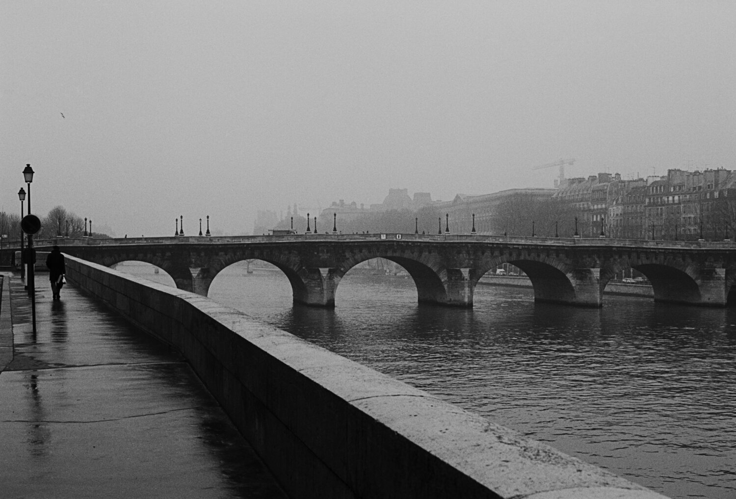 Photo #14170802