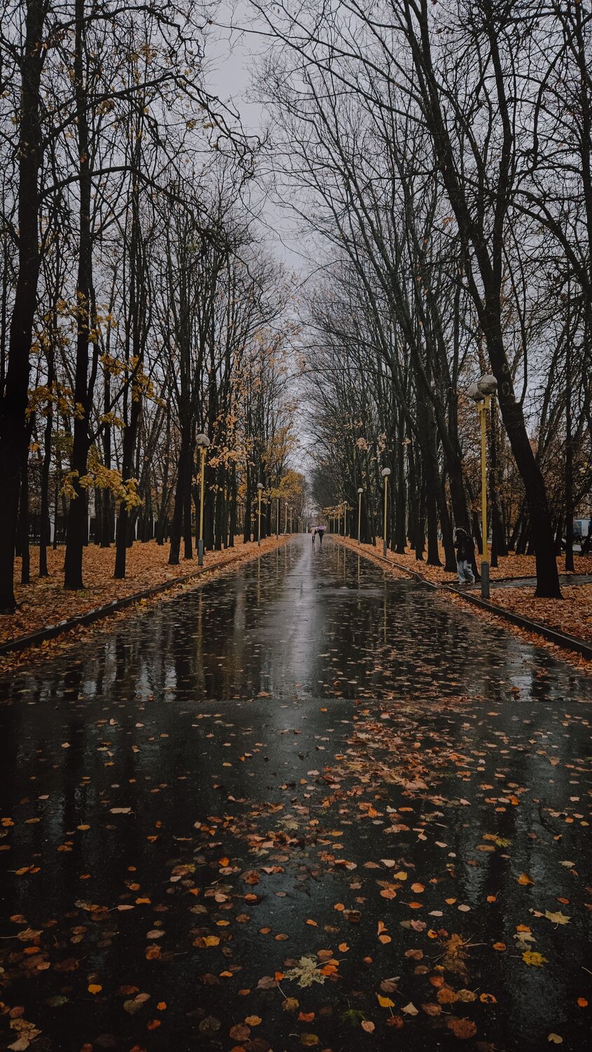 Фотография #14170946
