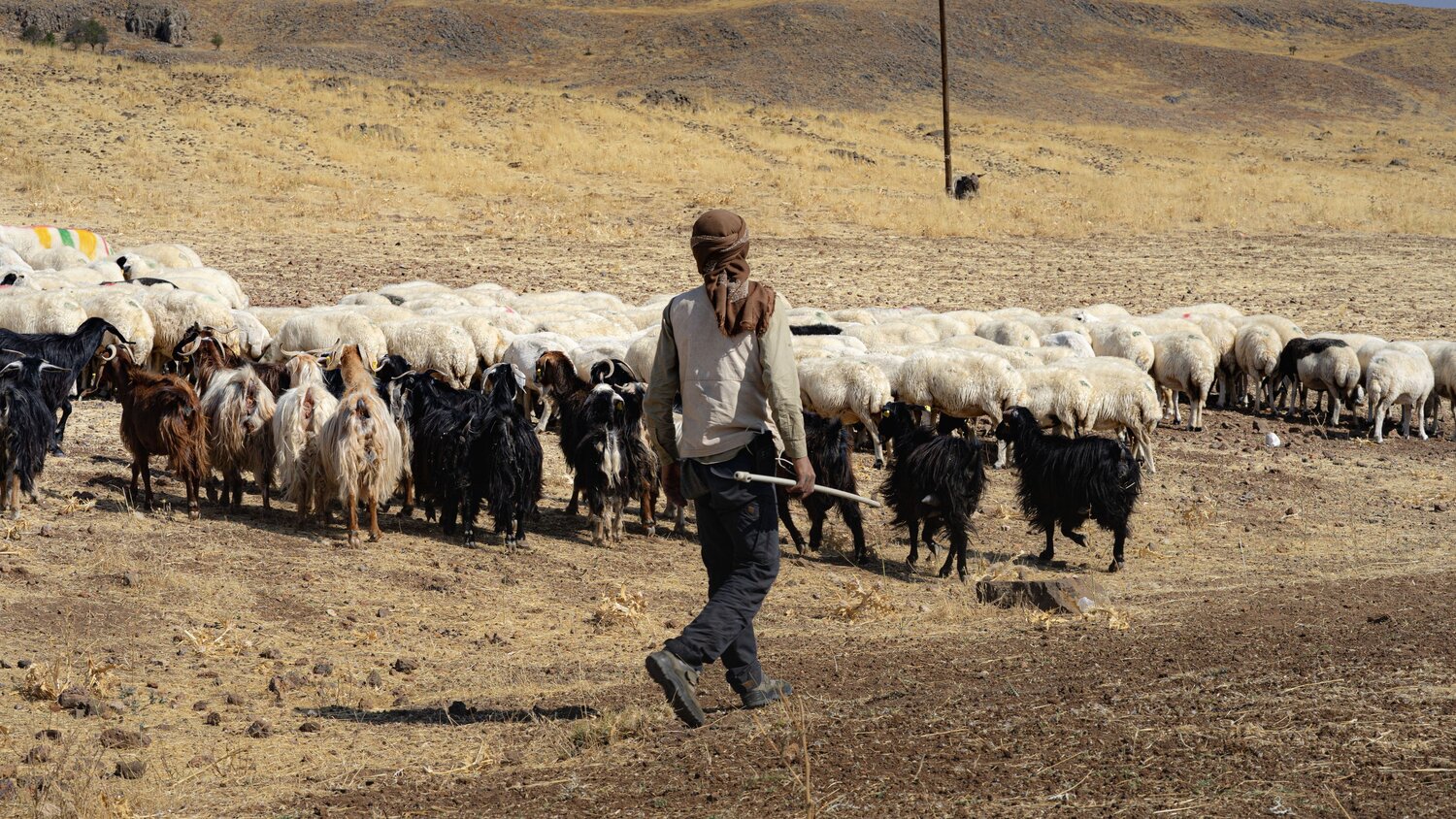 Life in Anatolia during autumn