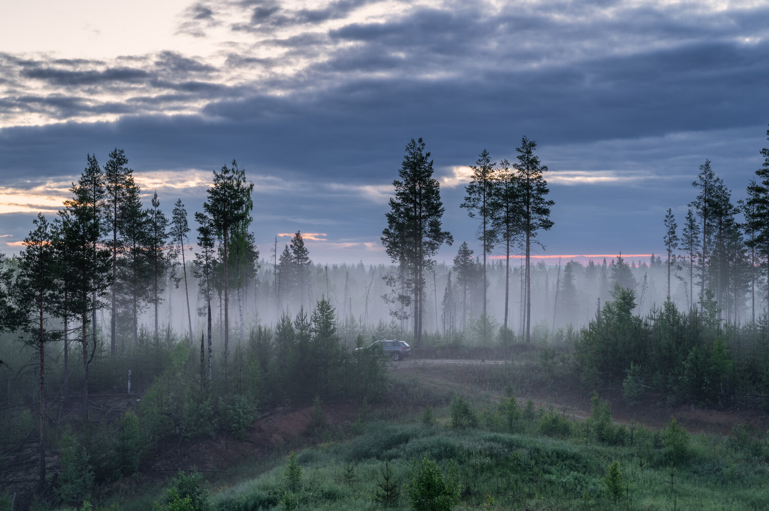 Photo #14171242