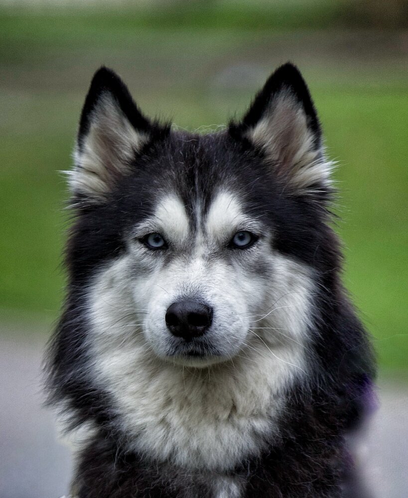 Взгляд