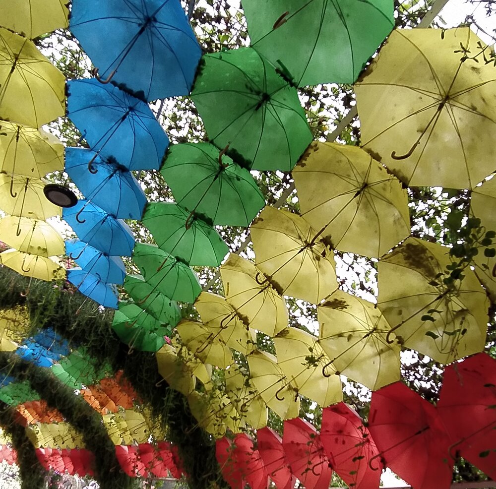 Photograph by Елена Александрова