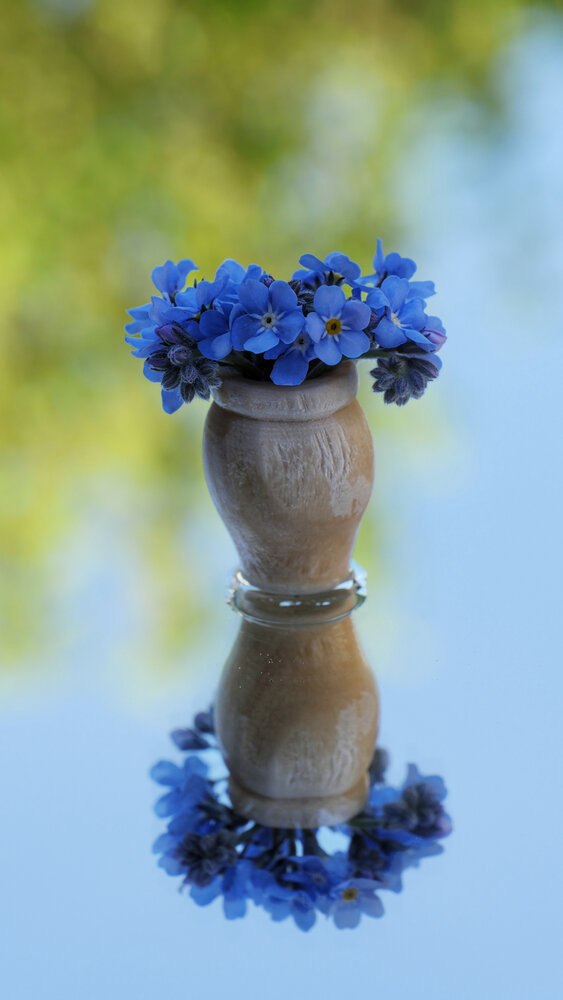Photograph by Olga Schmidt