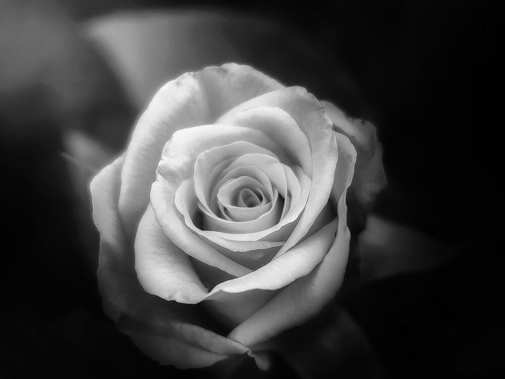 Photograph by Сергей Зайцев