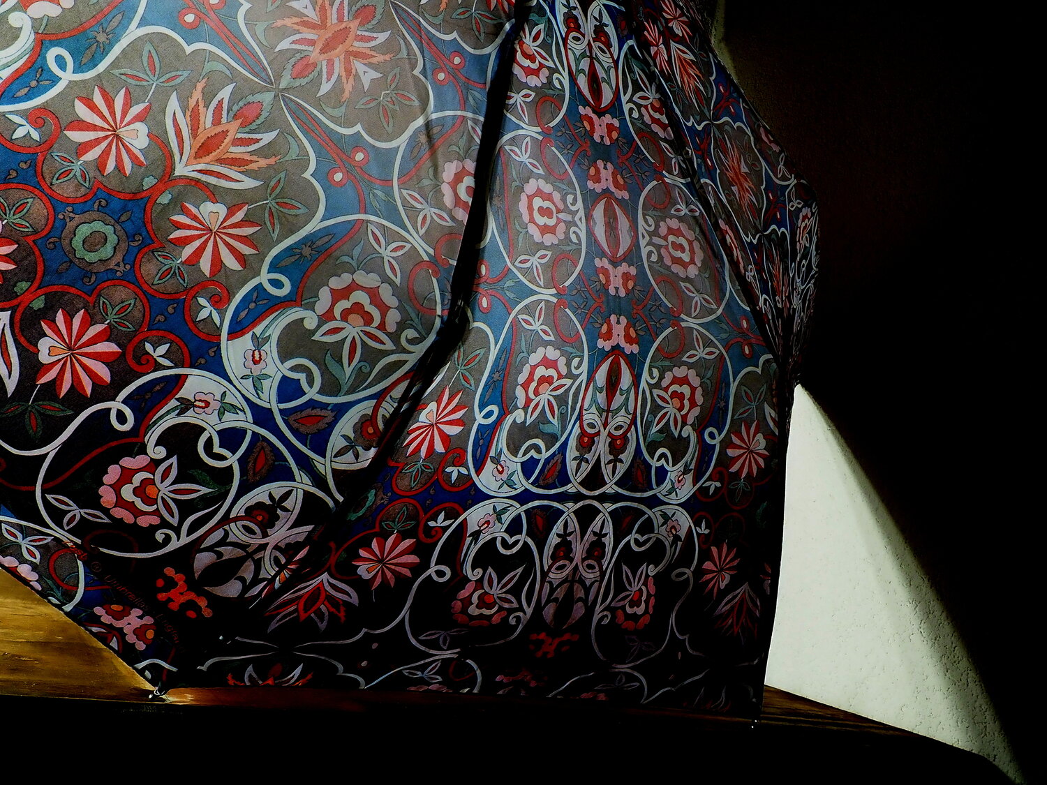 Photo #14172526