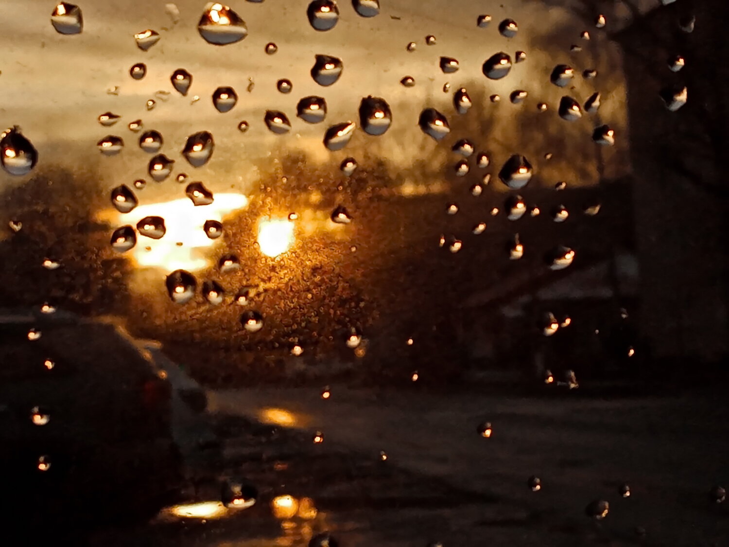 Photo #14172654