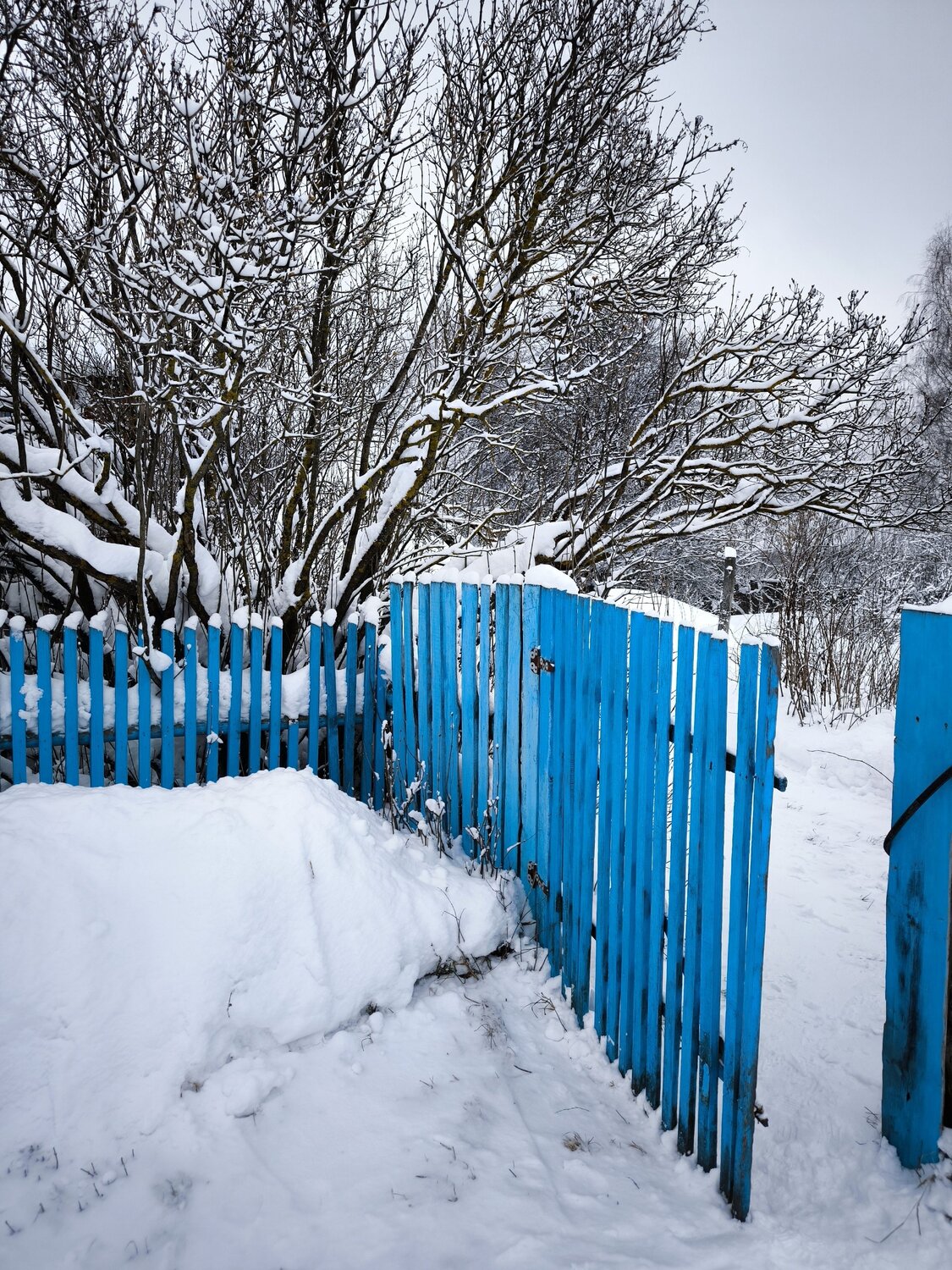 Photo #14172676