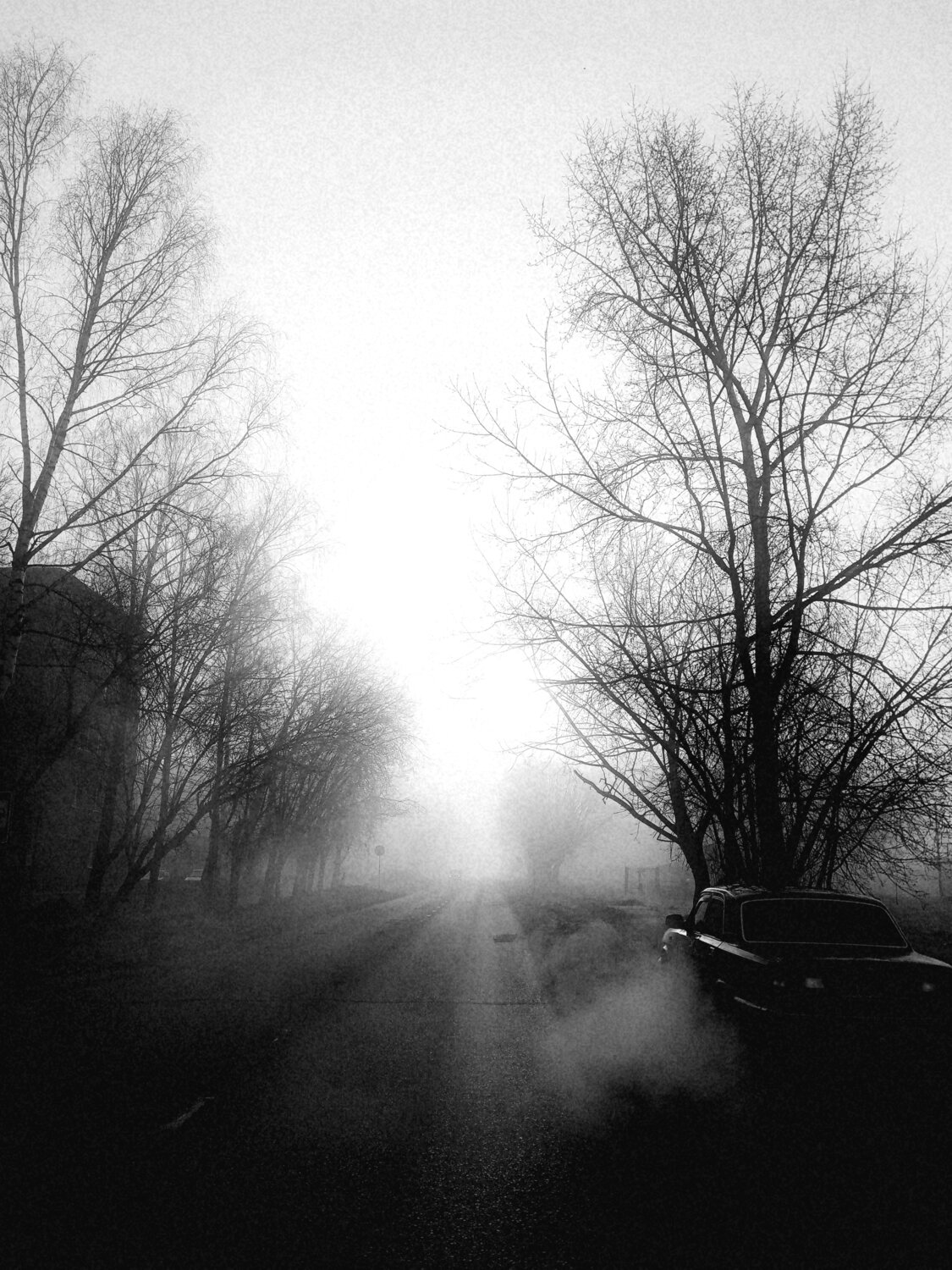 Photo #14172779
