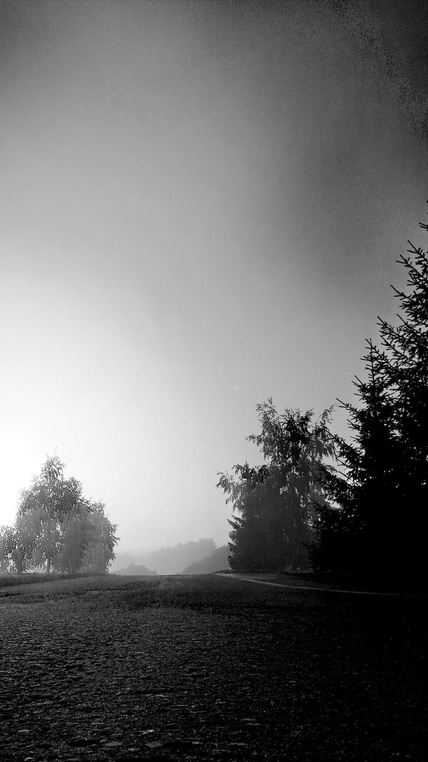 Photo #14172783