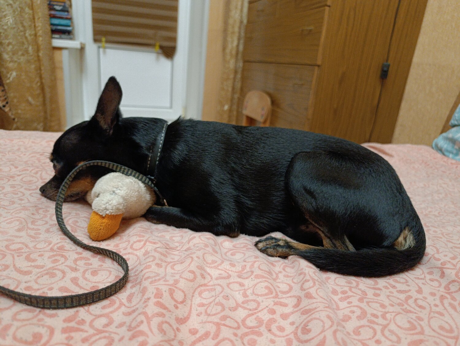Photo #14172977