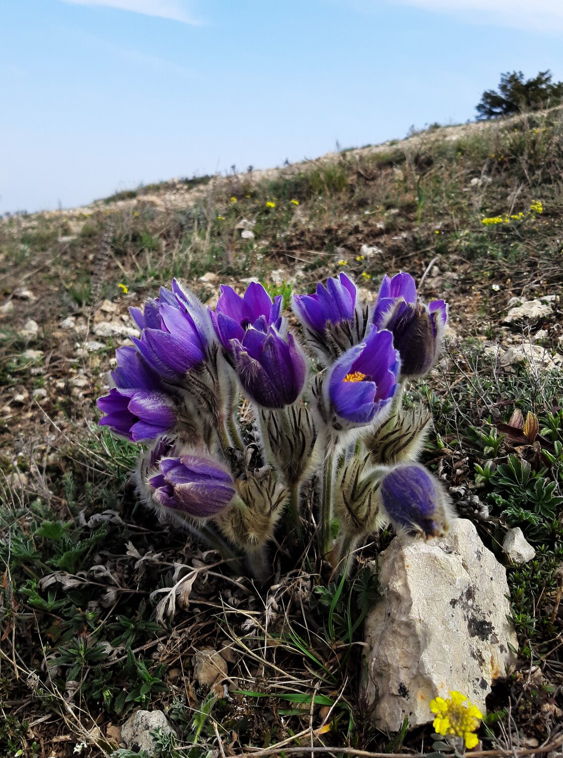 Photo #14173054