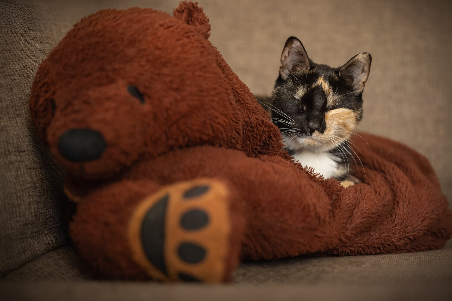 Photo #14173104