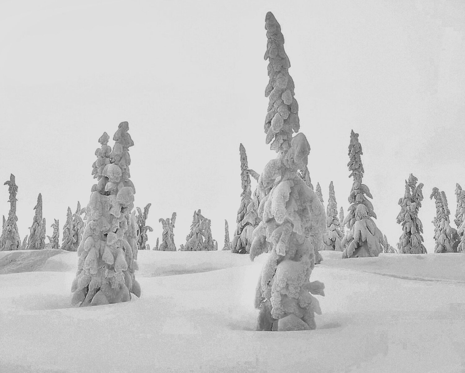 Photo #14173106