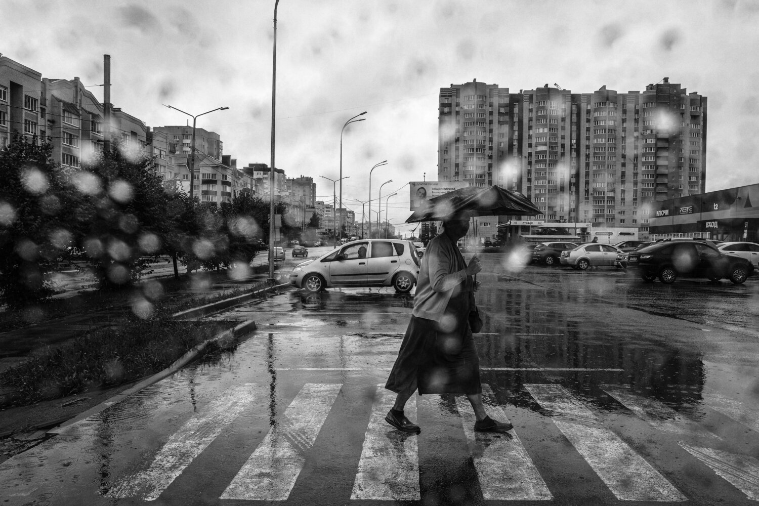 Фотография #14173337