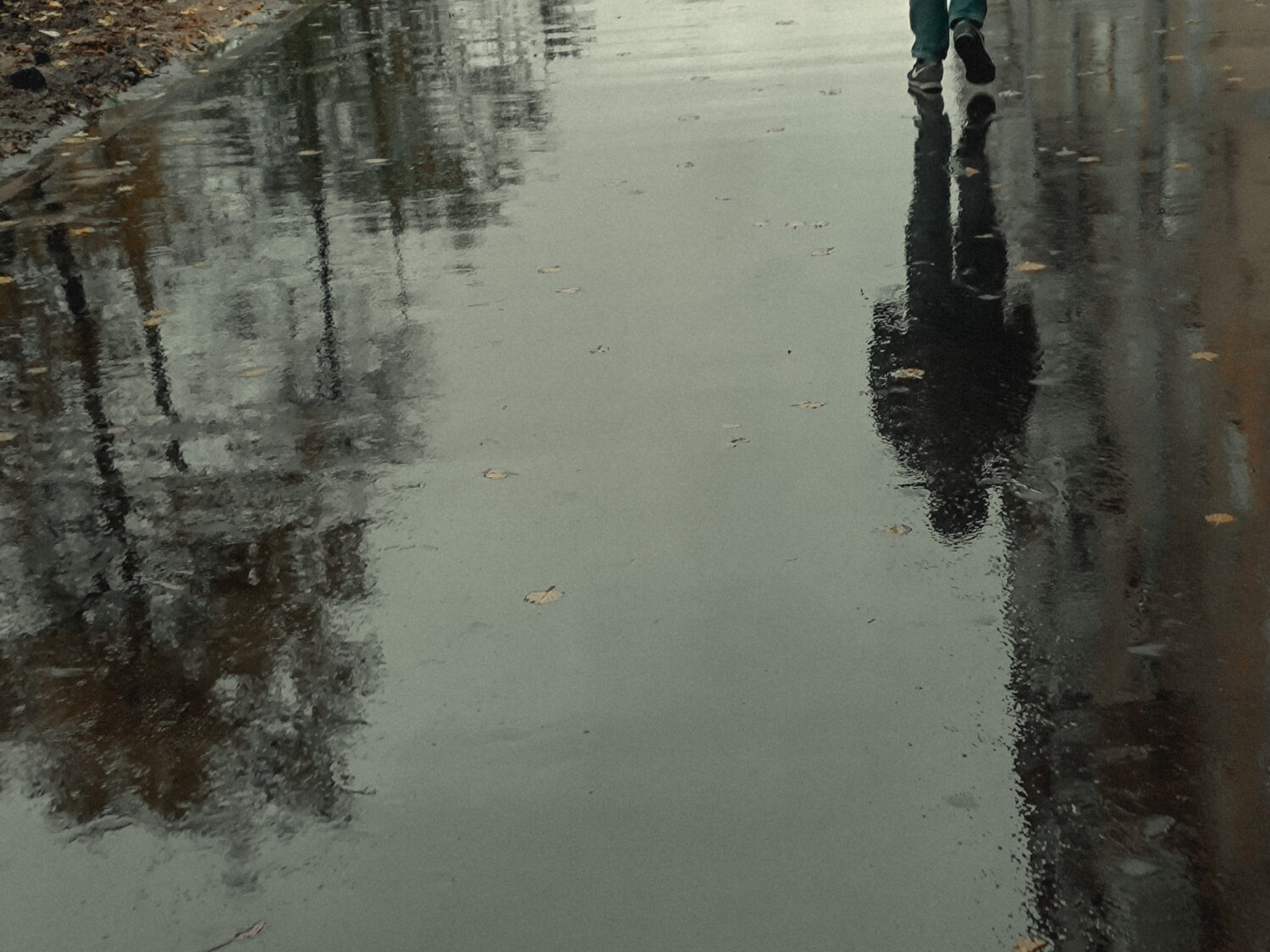 Photo #14173470