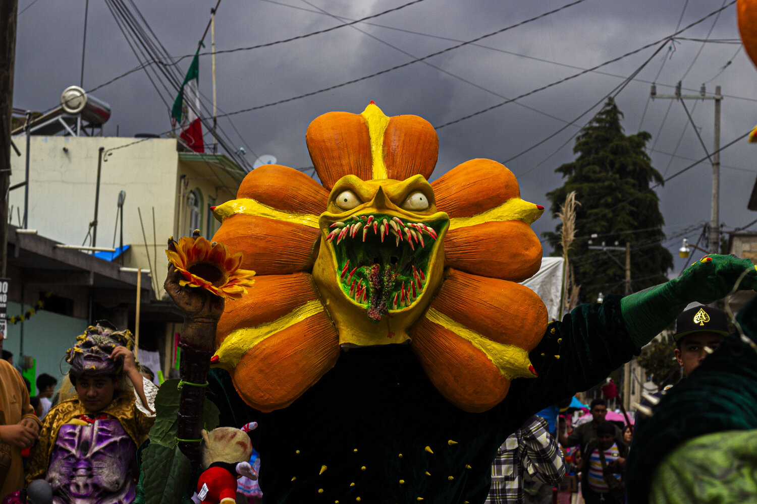 Photo #14173562