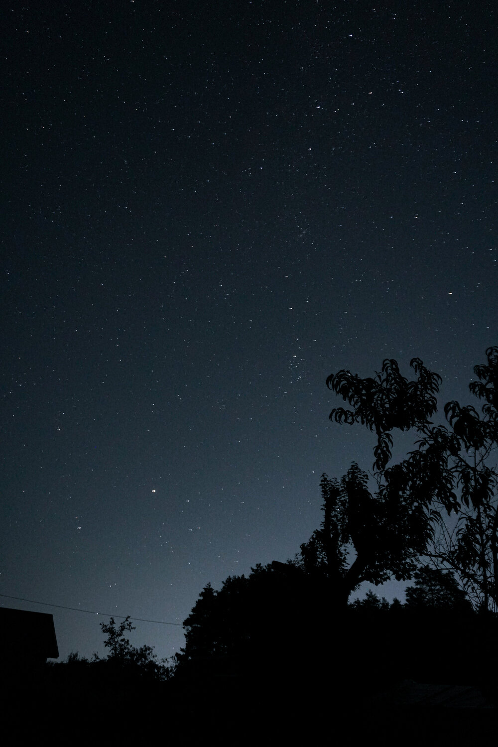 Photo #14173581