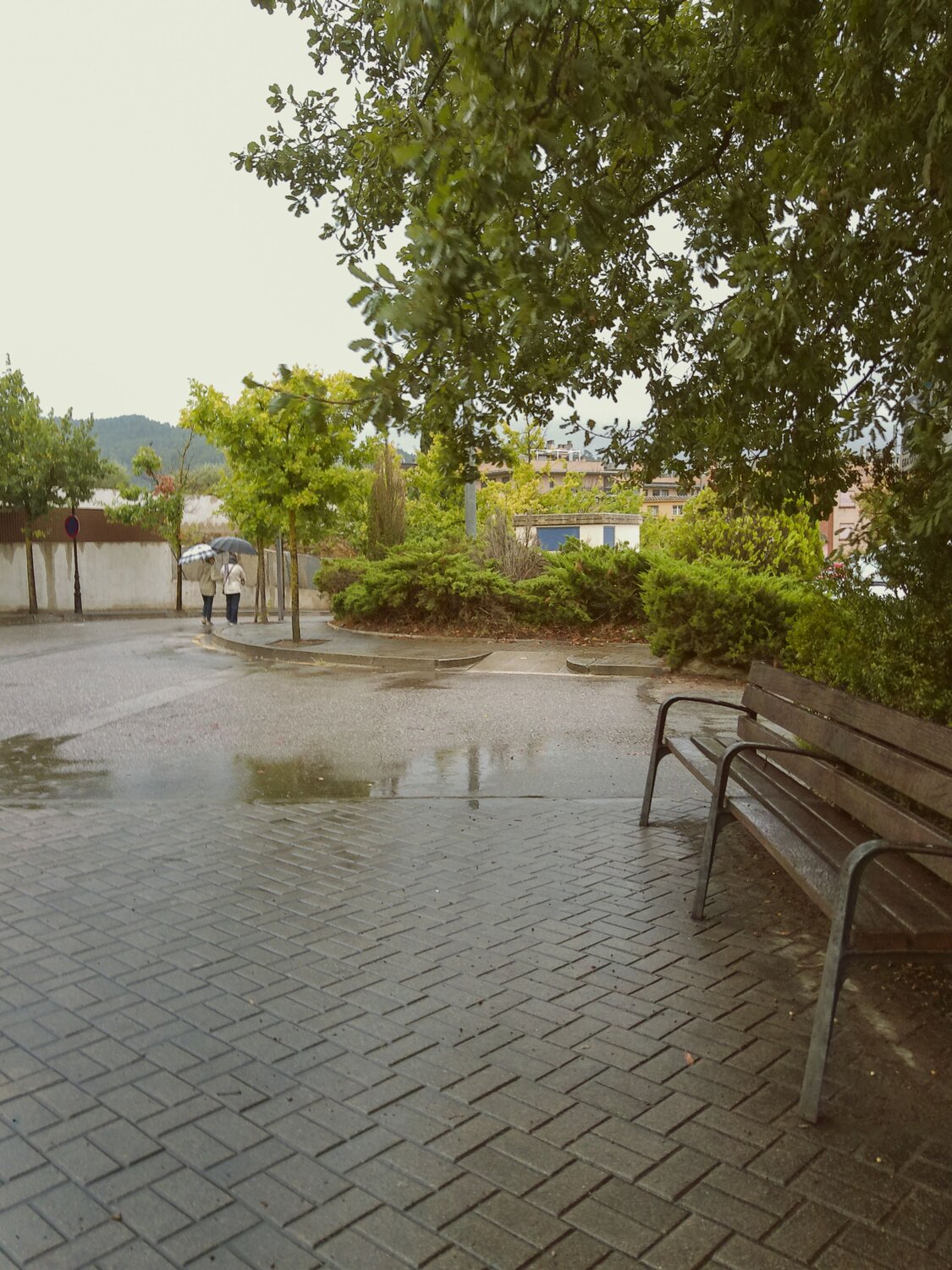 Photo #14173638