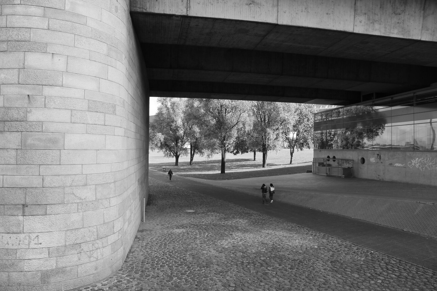 Photo #14173643