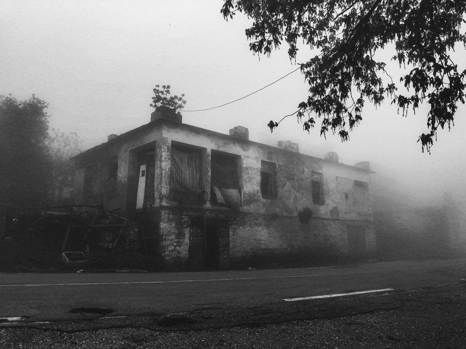 Photo #14173877