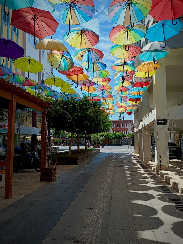 Photograph by Елена Чернякова