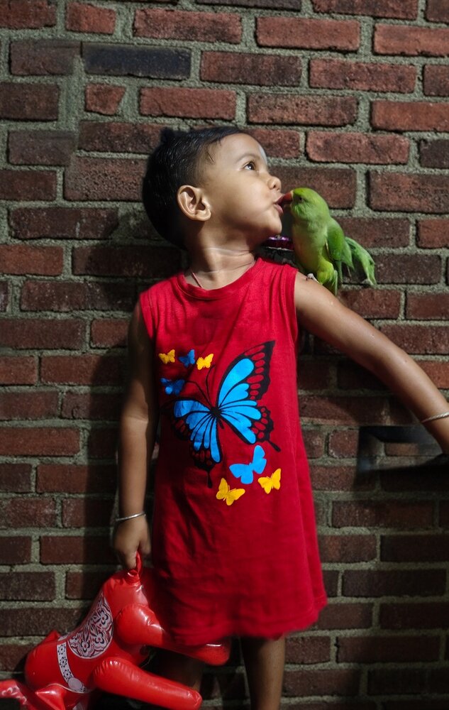 Girls\\\' bird