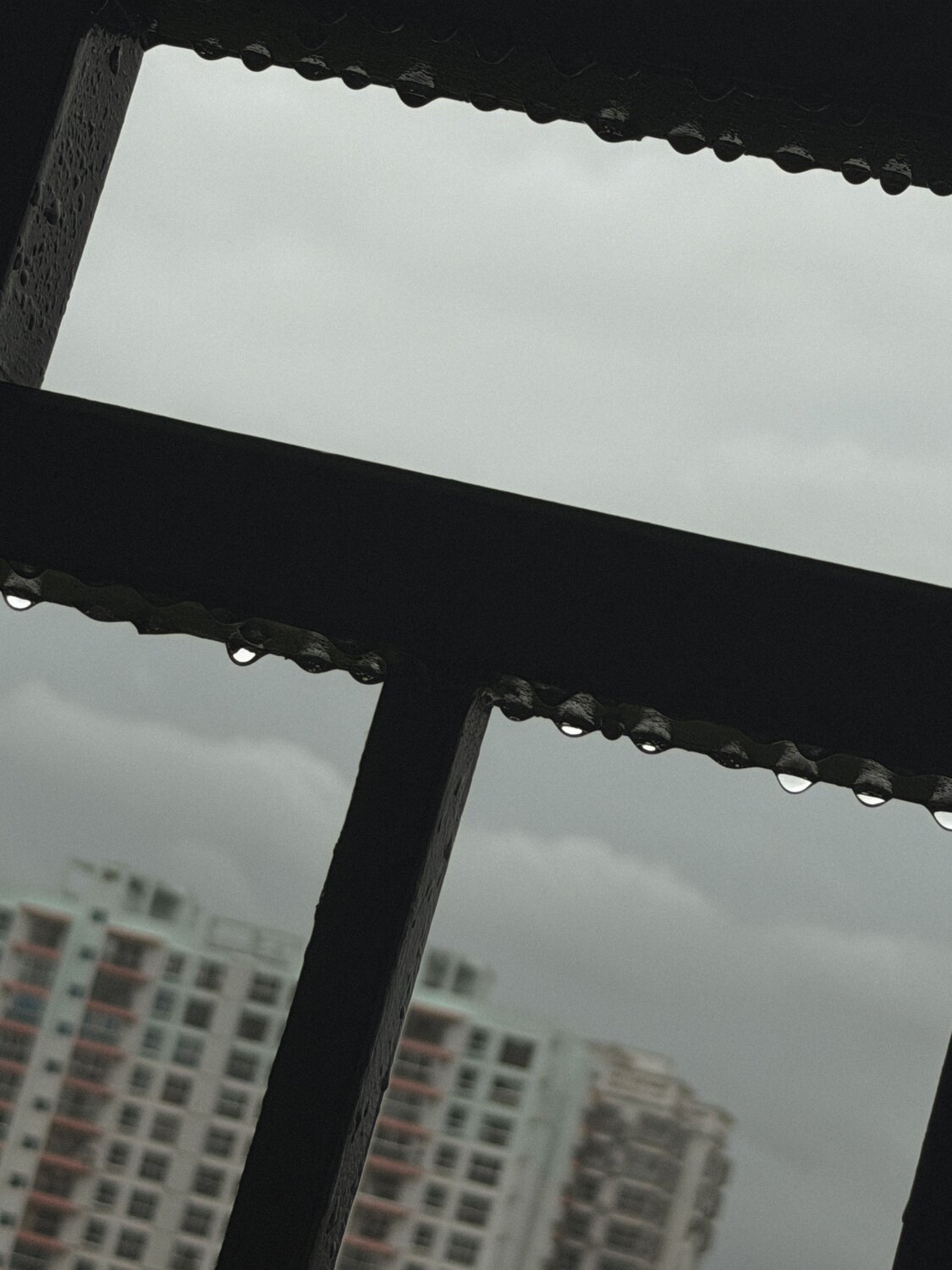 Photo #14174097