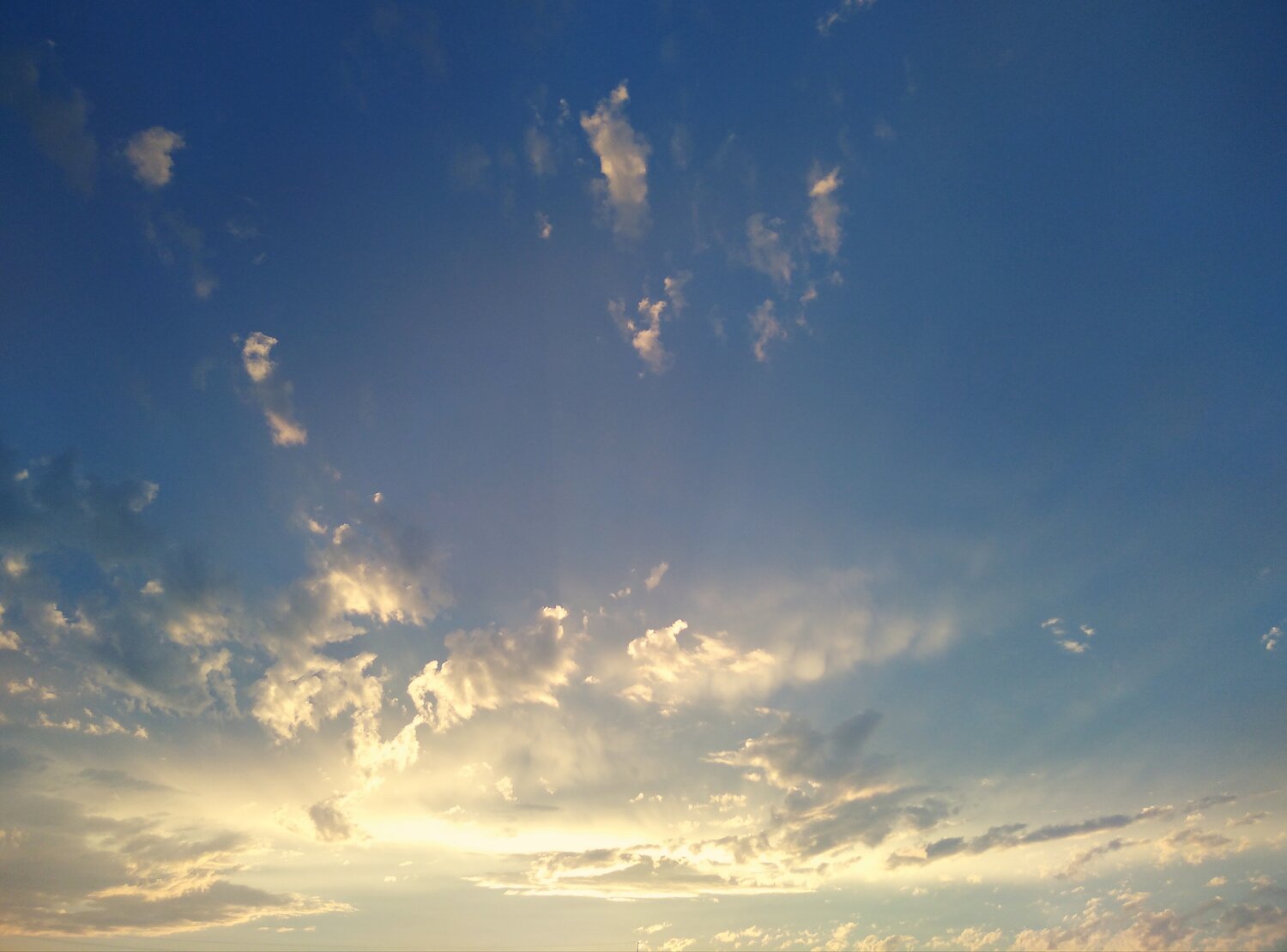 Photo #14174119