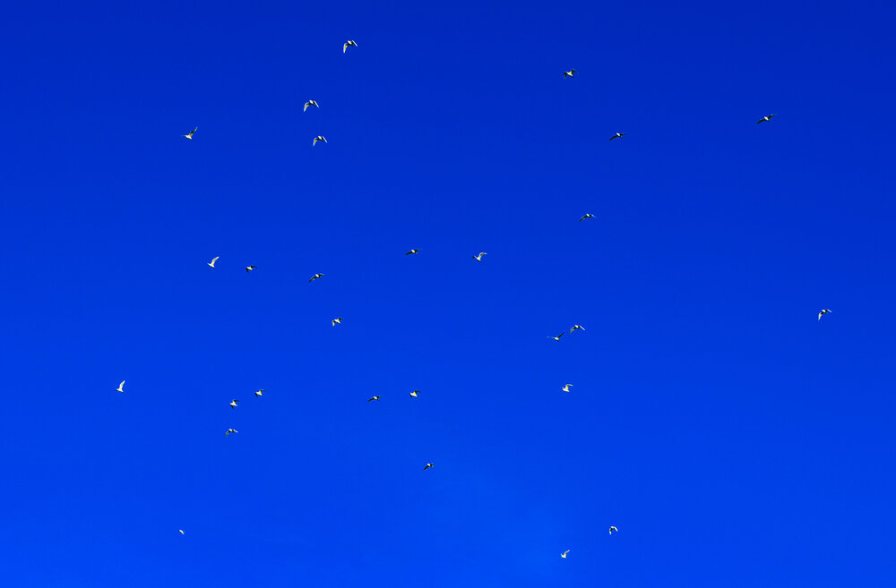 Photograph by Юлия Ковальчук