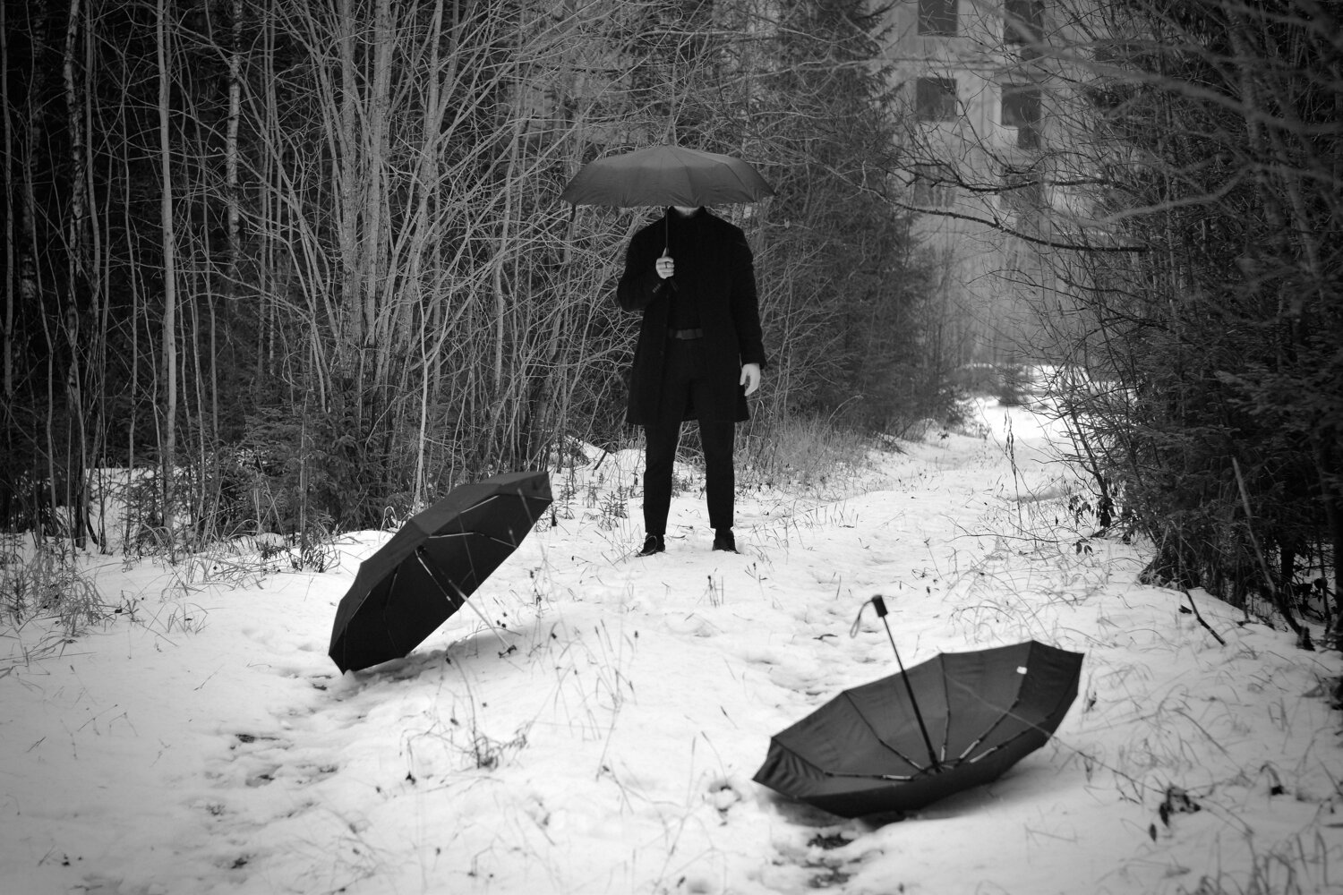 Photo #14174697