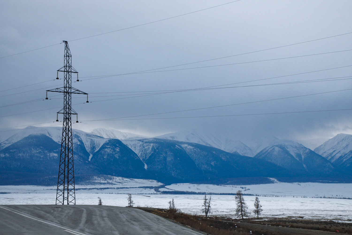 Photo #14174715