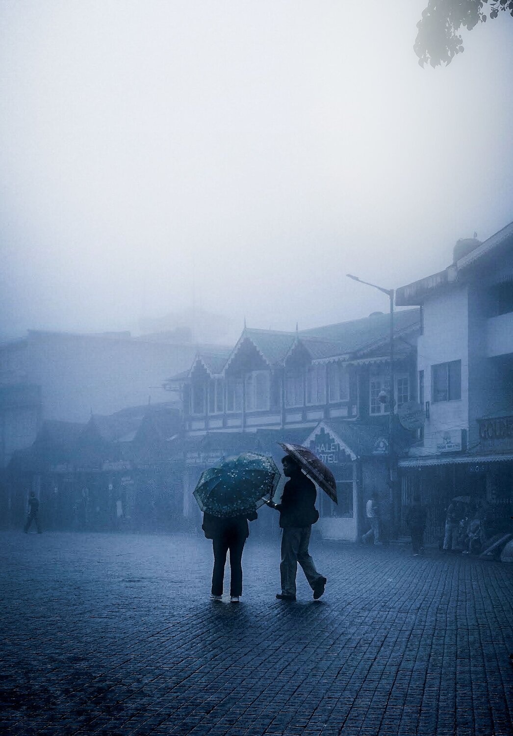 Two souls, one umbrella, endless mist