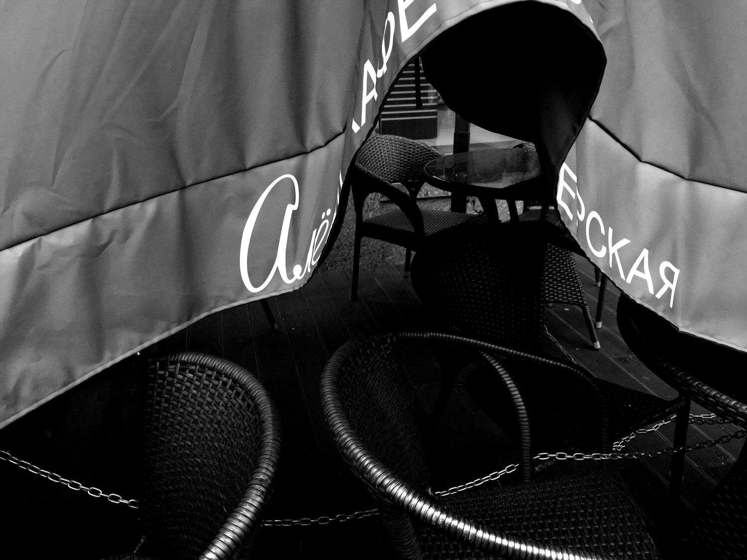 Photo #14175176