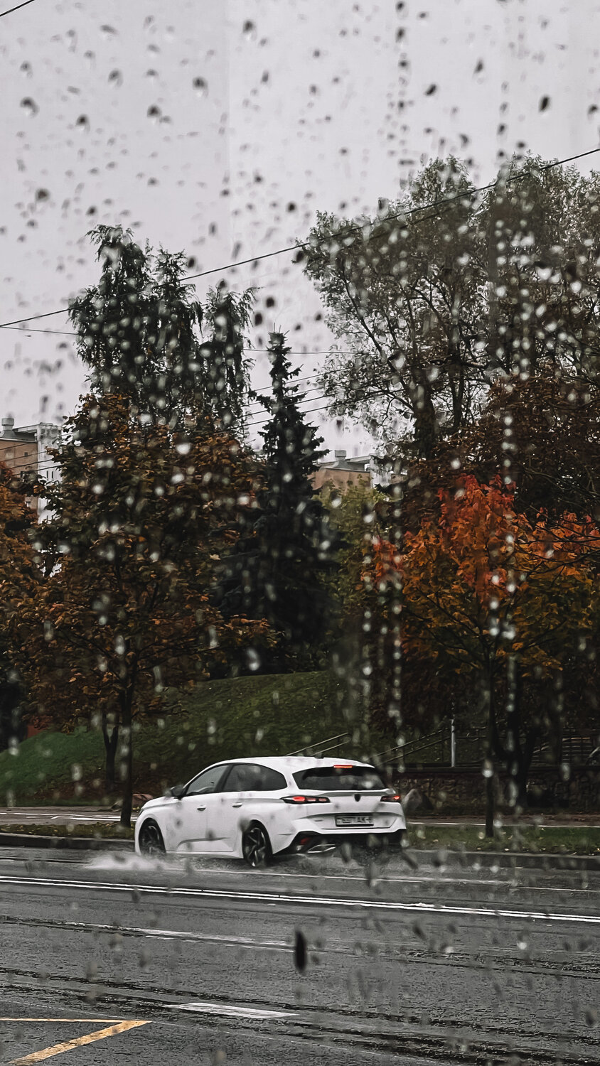 Фотография #14175558