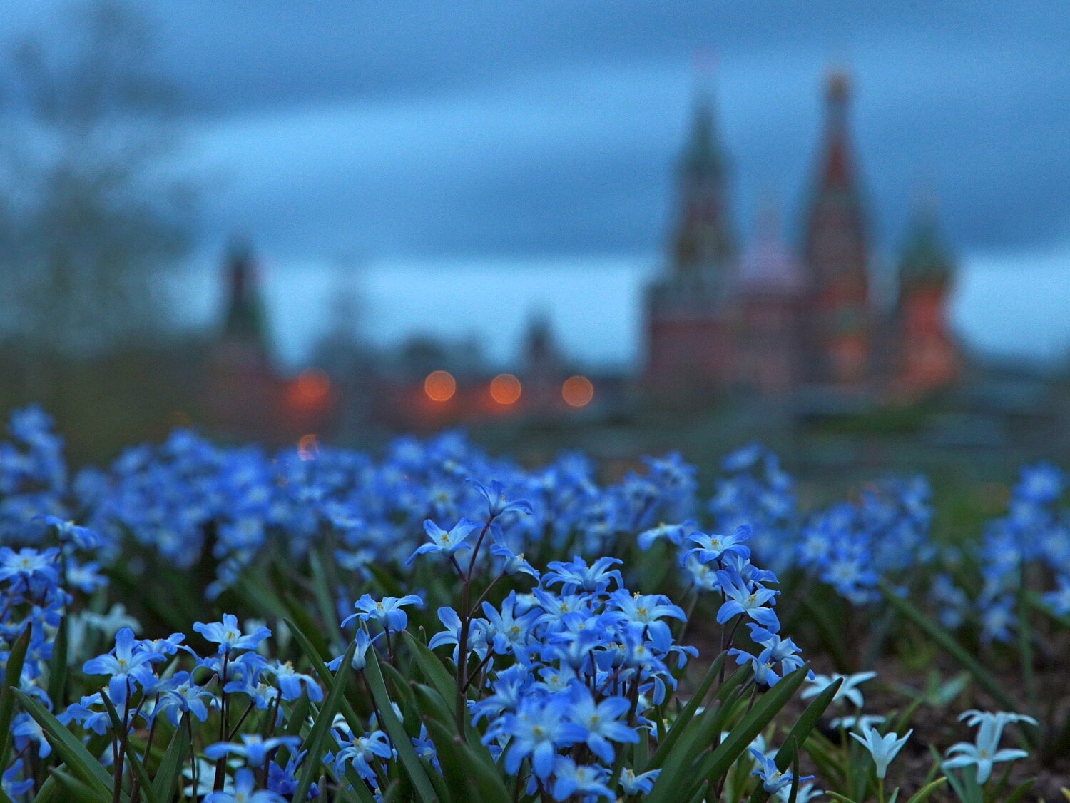Фотография #14175838