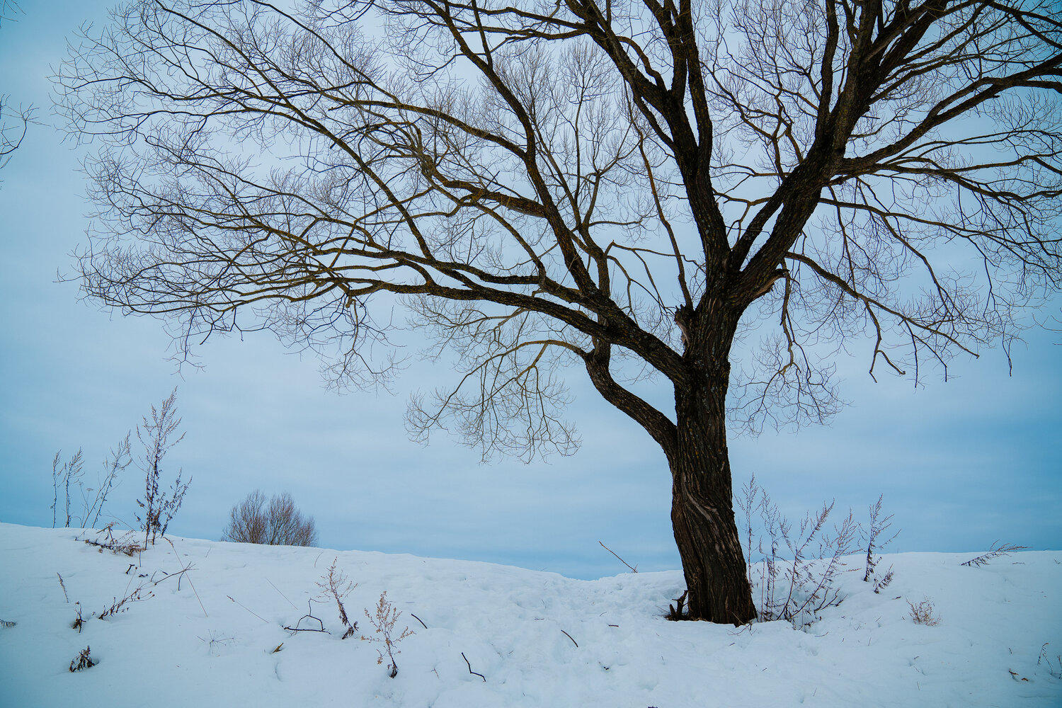Photo #14176273