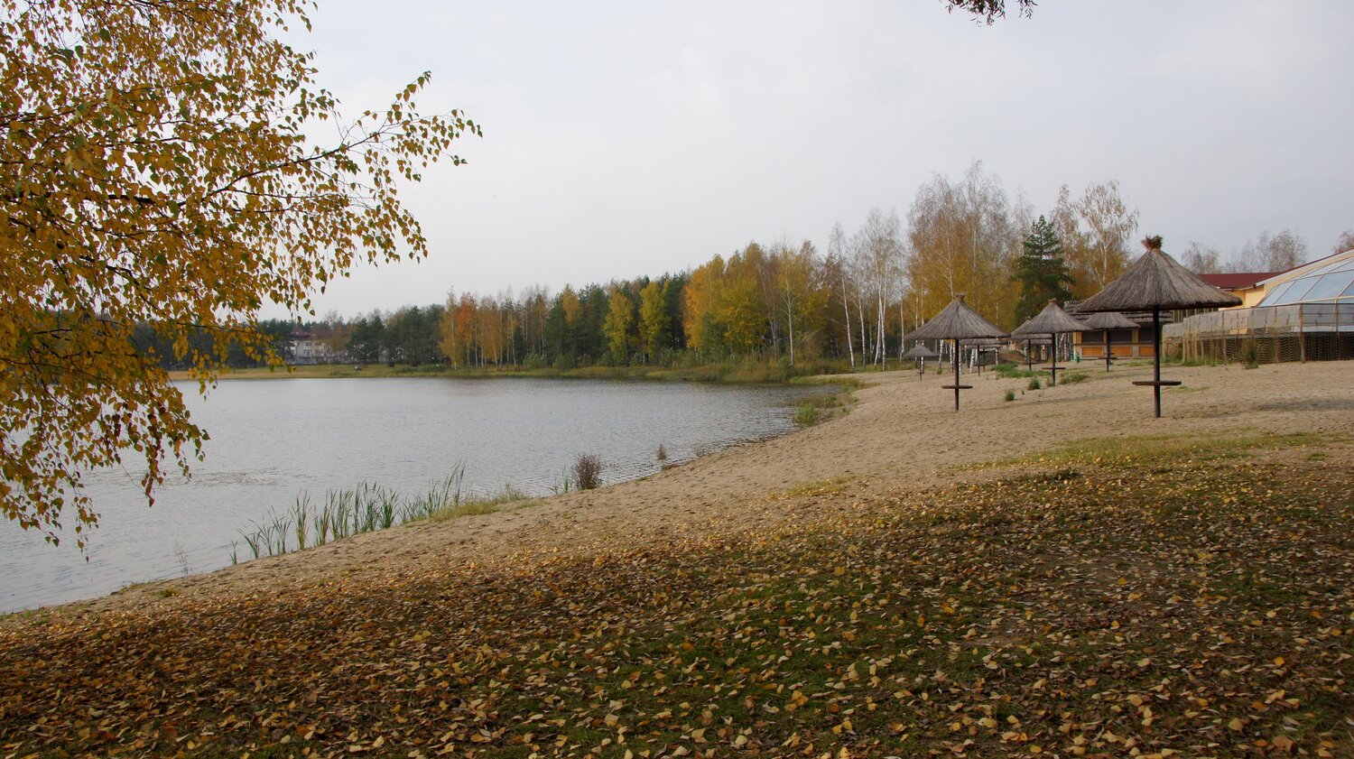 Photo #14176362