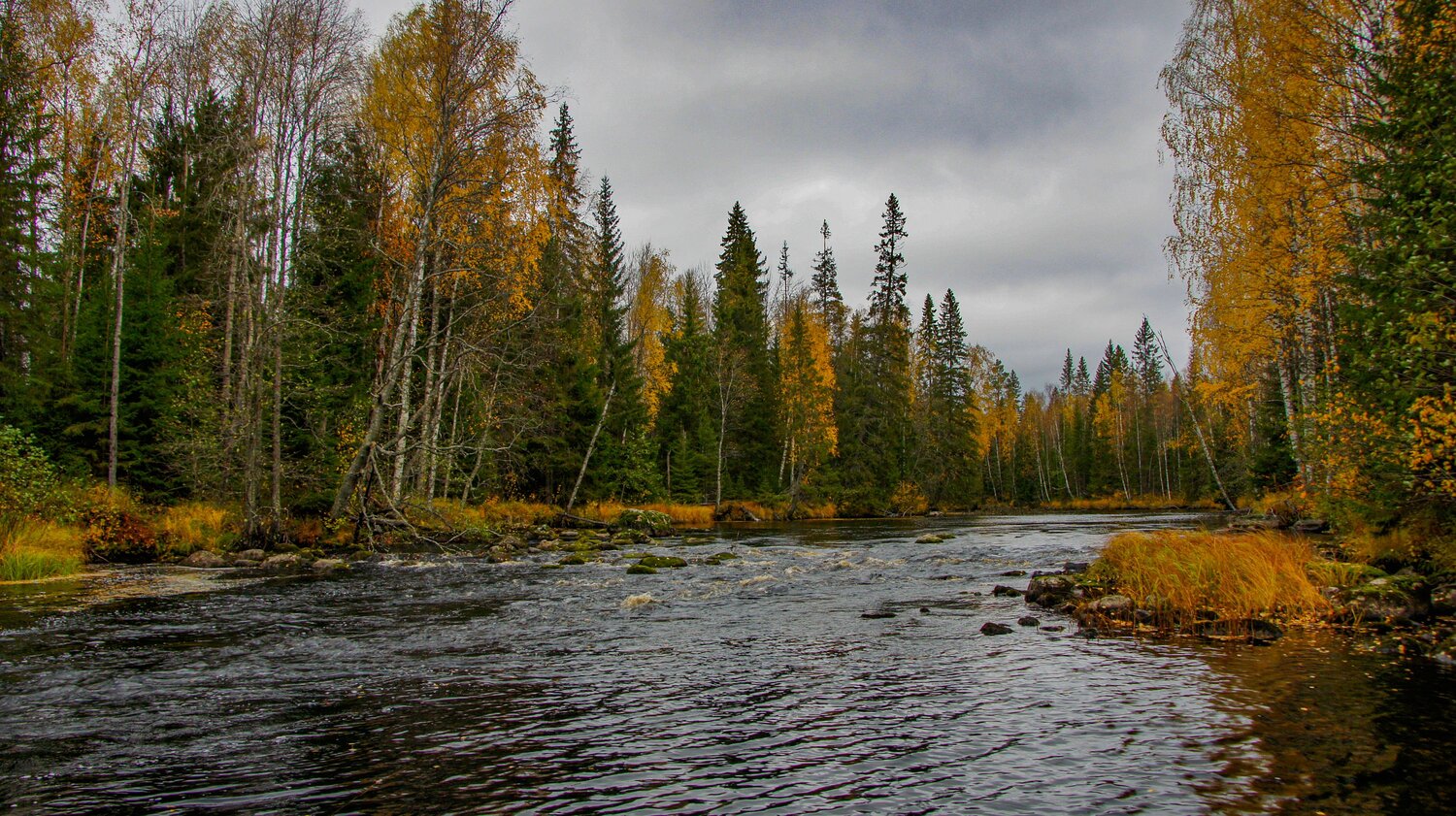 Photo #14176364