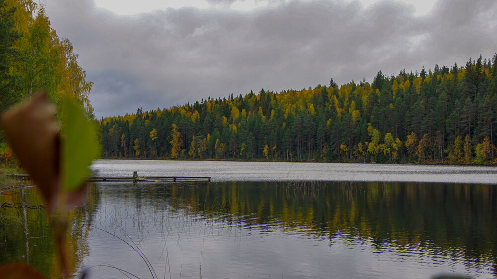 Photo #14176365